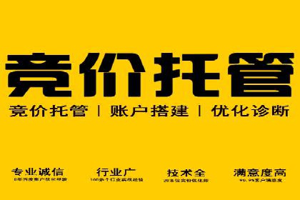 案例分析：百度广告竞价助力电商企业提升销售额